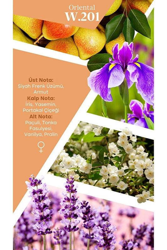 Mad Parfüm Mad W201 Selective 100 ml Kadın Parfüm